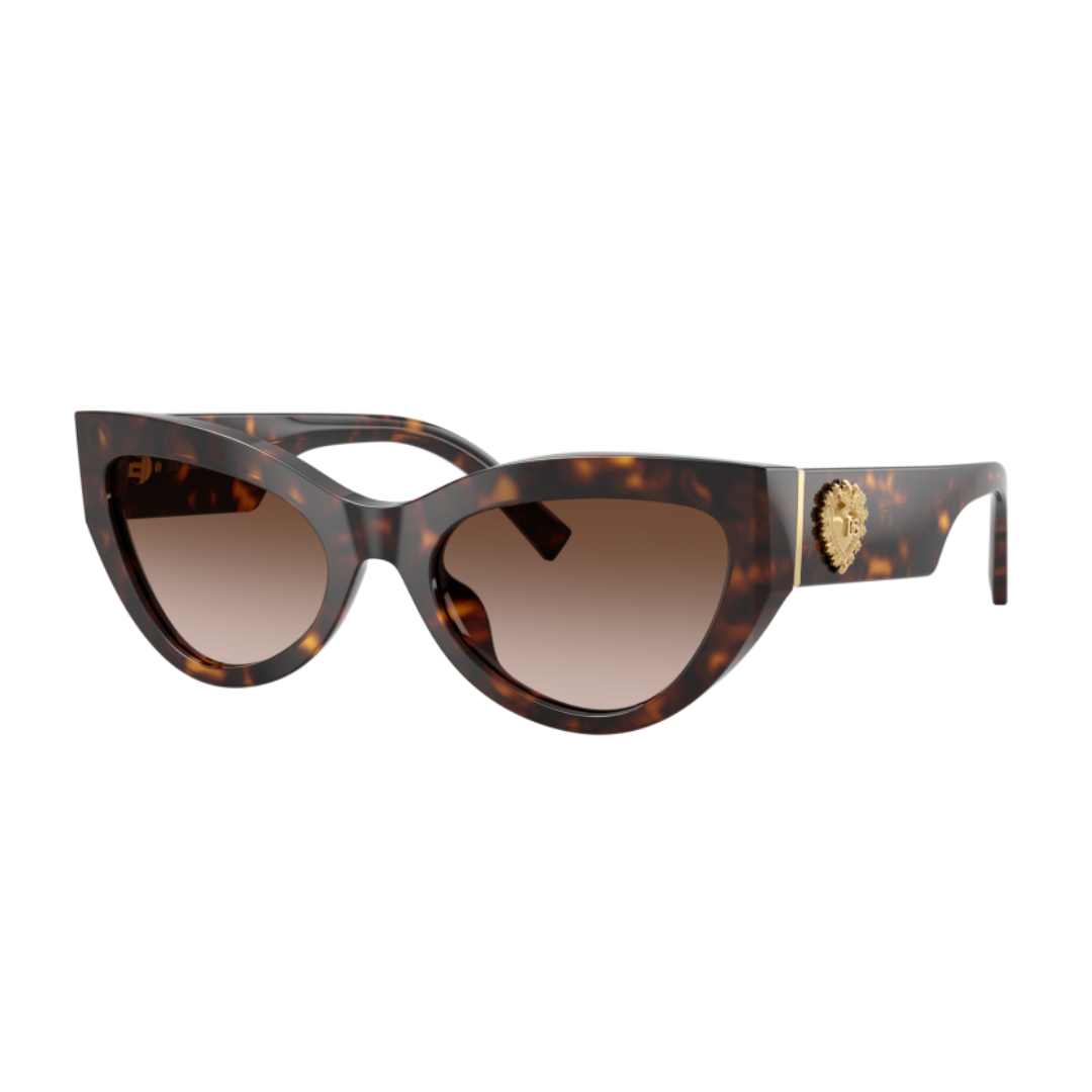 RB3925 00456 58 (11) DOLCE & GABBANA SUNGLASSES - DG4536 502/1355 - Image 1